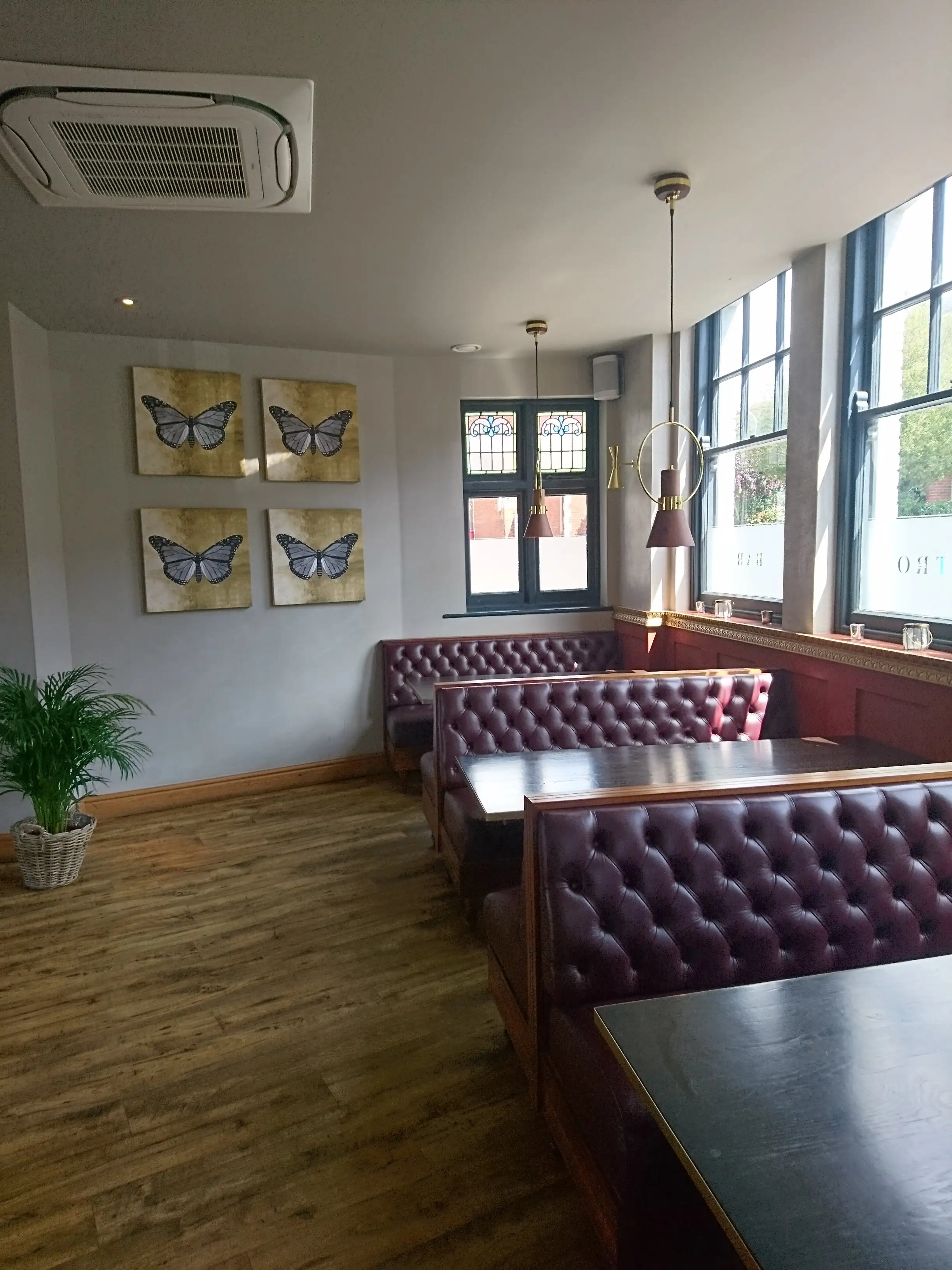Gallery - Image 16