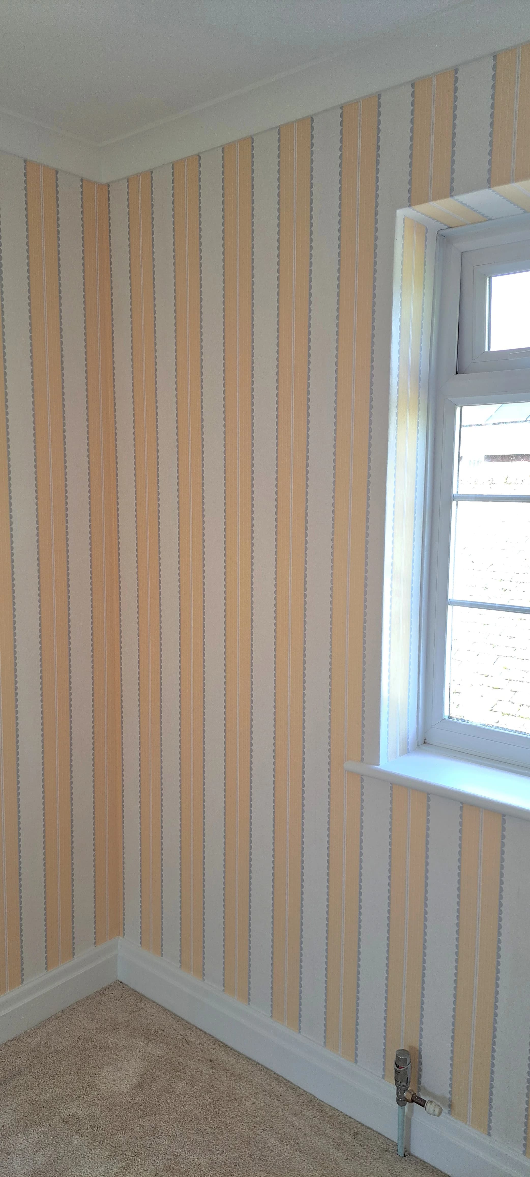 Gallery - Image 10